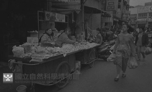 1950至2006年臺灣常民生活藏品圖，第1張