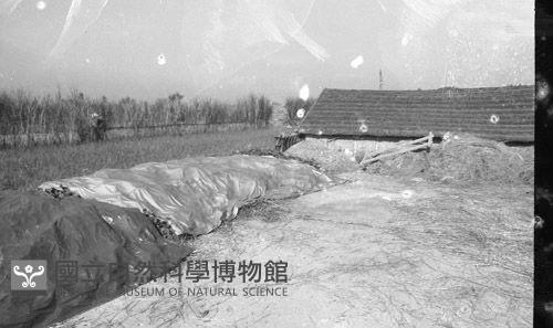 1950至2006年臺灣常民生活藏品圖，第1張