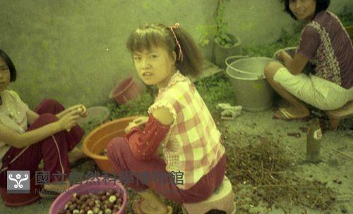 1950至2006年臺灣常民生活藏品圖，第1張