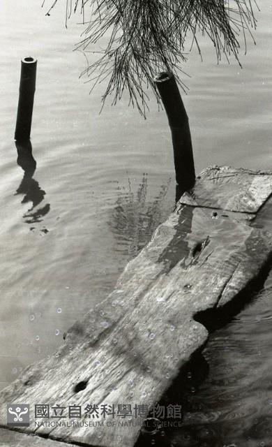 1950至2006年臺灣常民生活 藏品圖，第1張