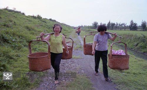 彰化臺西祭濁水溪王（1950至2006年臺灣常民生活）藏品圖，第1張