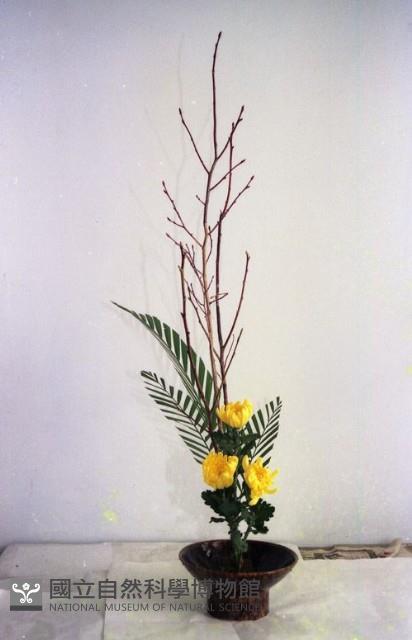 1950至2006年臺灣常民生活藏品圖，第1張