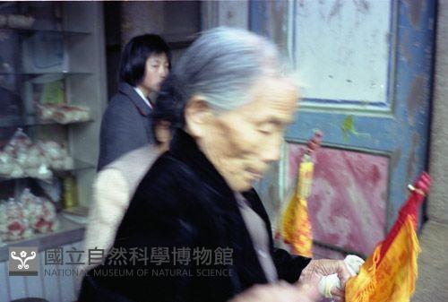 1950至2006年臺灣常民生活藏品圖，第1張