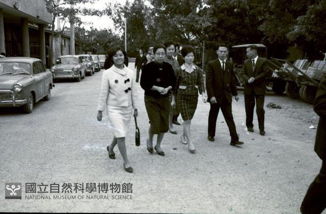 1950至2006年臺灣常民生活藏品圖，第1張