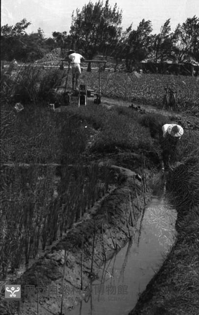 1950至2006年臺灣常民生活藏品圖，第1張