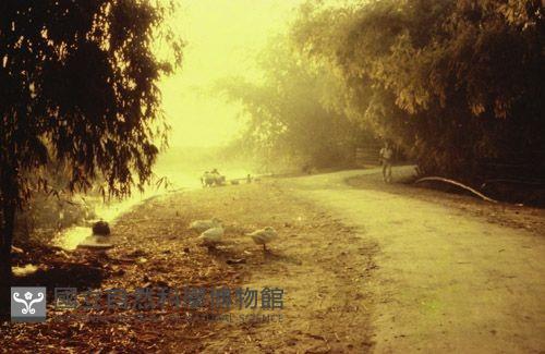 1950至2006年臺灣常民生活藏品圖，第1張