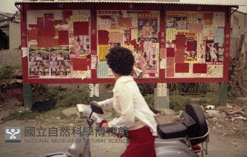 1950至2006年臺灣常民生活藏品圖，第1張