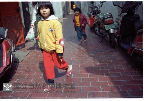 1950至2006年臺灣常民生活藏品圖，第1張