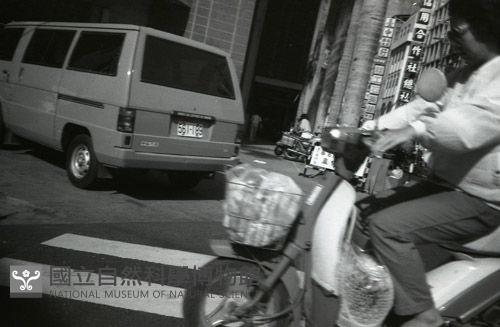 1950至2006年臺灣常民生活藏品圖，第1張