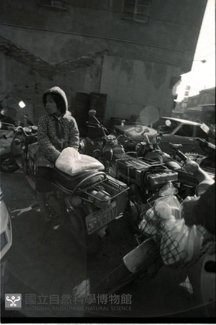 1950至2006年臺灣常民生活藏品圖，第1張