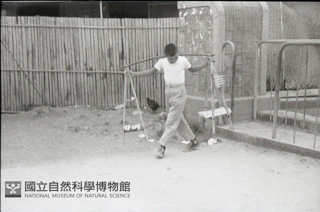 1950至2006年臺灣常民生活藏品圖，第1張