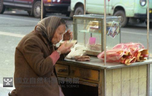 1950至2006年臺灣常民生活藏品圖，第1張