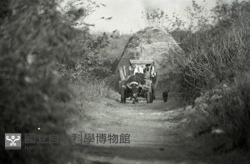 1950至2006年台灣常民生活藏品圖，第1張