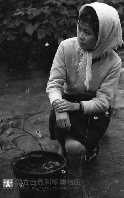 1950至2006年臺灣常民生活藏品圖，第1張