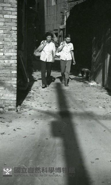 1950至2006年臺灣常民生活藏品圖，第1張