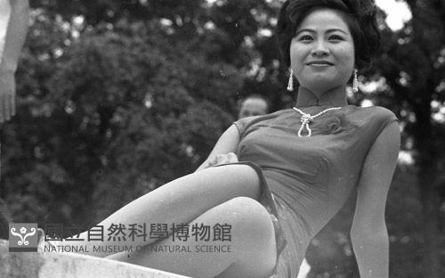 1950至2006年臺灣常民生活藏品圖，第1張