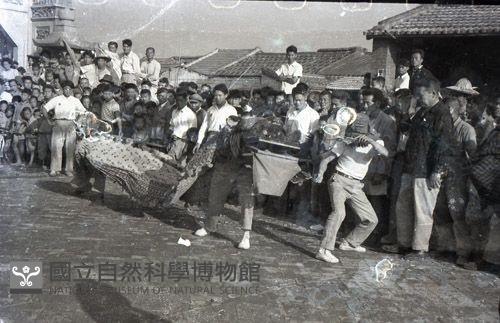1950至2006年臺灣常民生活藏品圖，第1張