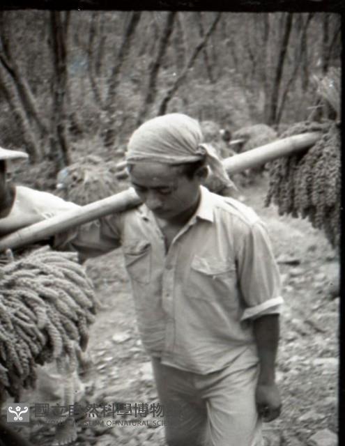 1950至2006年台灣常民生活藏品圖，第1張