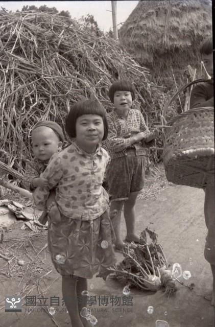 1950至2006年臺灣常民生活藏品圖，第1張