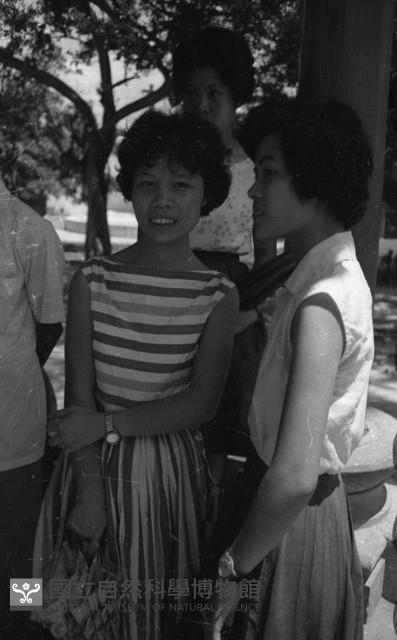 1950至2006年臺灣常民生活藏品圖，第1張