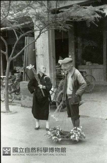 1950至2006年臺灣常民生活藏品圖，第1張