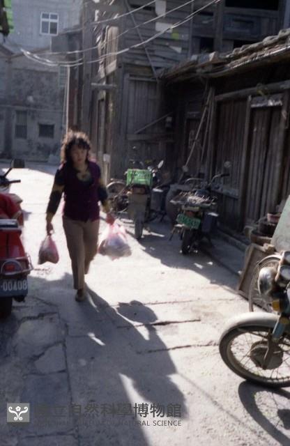1950至2006年臺灣常民生活藏品圖，第1張