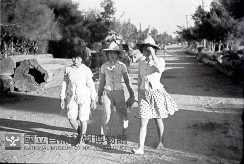 1950至2006年臺灣常民生活藏品圖，第1張