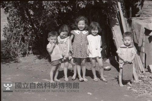 1950至2006年臺灣常民生活藏品圖，第1張