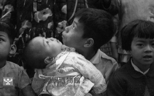 1950至2006年臺灣常民生活藏品圖，第1張