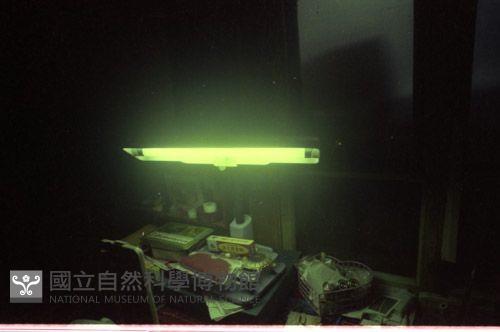 1950至2006年臺灣常民生活藏品圖，第1張