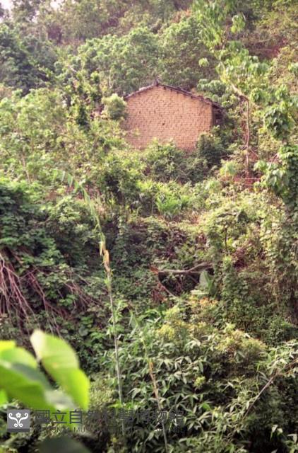 Accession Number:MP2007010089 Collection Image