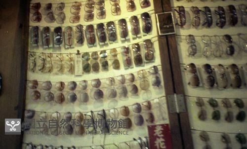 1950至2006年臺灣常民生活藏品圖，第1張