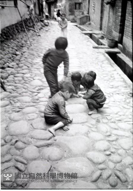 1950至2006年臺灣常民生活藏品圖，第1張