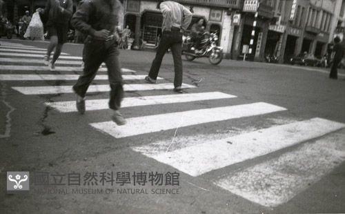 1950至2006年臺灣常民生活藏品圖，第1張