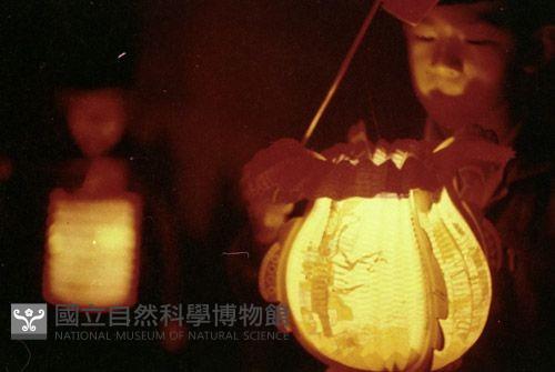 1950至2006年臺灣常民生活藏品圖，第1張