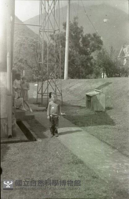 1950至2006年臺灣常民生活藏品圖，第1張
