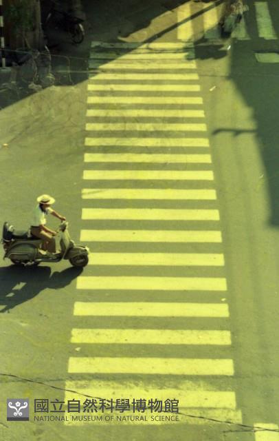 1950至2006年臺灣常民生活藏品圖，第1張