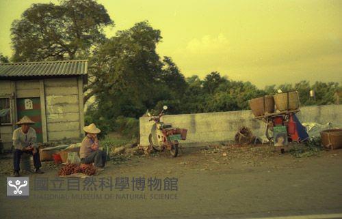 1950至2006年臺灣常民生活藏品圖，第1張