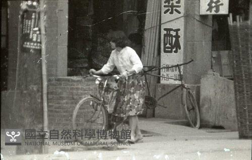 1950至2006年臺灣常民生活藏品圖，第1張