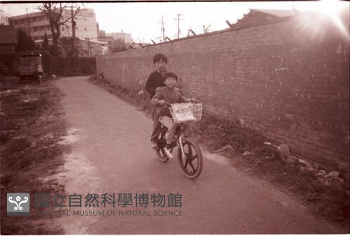 1950至2006年臺灣常民生活藏品圖，第1張
