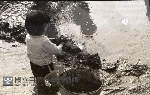 Accession Number:MP2007007189 Collection Image