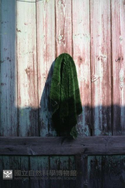 1950至2006年臺灣常民生活藏品圖，第1張