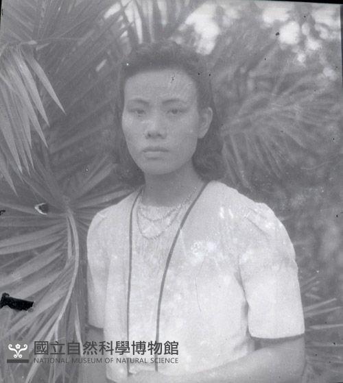 1950至2006年臺灣常民生活藏品圖，第1張