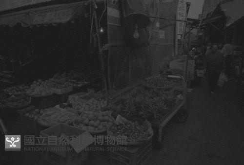 1950至2006年臺灣常民生活藏品圖，第1張