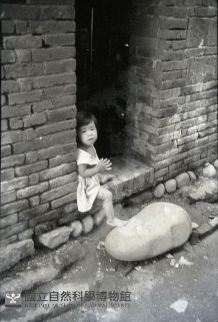 1950至2006年臺灣常民生活藏品圖，第1張