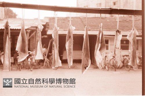 1950至2006年臺灣常民生活藏品圖，第1張