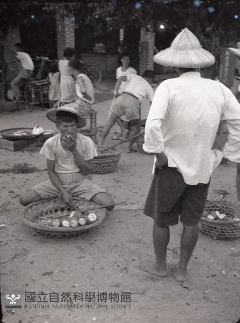 1950至2006年臺灣常民生活藏品圖，第1張