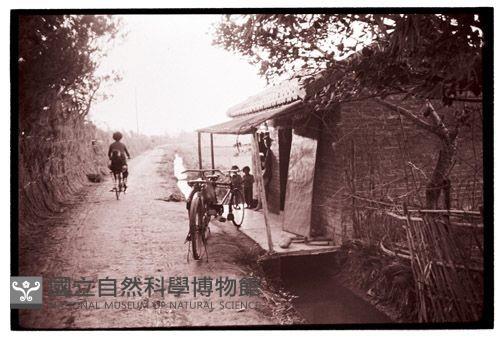 1950至2006年臺灣常民生活藏品圖，第1張