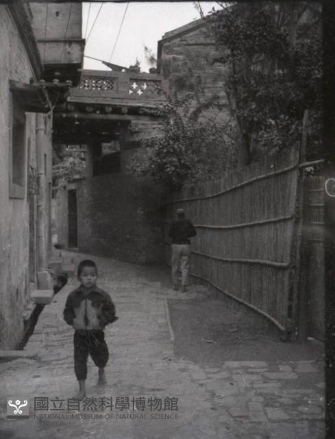 1950至2006年臺灣常民生活藏品圖，第1張