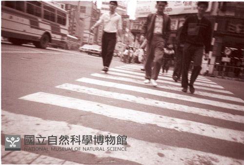 1950至2006年臺灣常民生活藏品圖，第1張